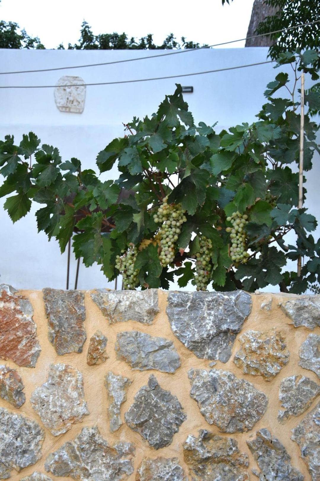 Rustic Private Cottage W/ King Bed In Galanado Naxos חדר תמונה